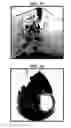 Fig. 09 - Plant-based compositions and uses thereof