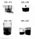 Fig. 22 - Plant-based compositions and uses thereof
