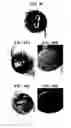 Fig. 28 - Plant-based compositions and uses thereof