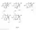 Fig. 05 - A METHOD FOR TRICHOTHECENE DETOXIFICATION