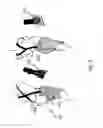 Fig. 03 - INTEGRATED SUPPORTIVE DEVICE IN GARMENTS