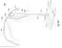 Fig. 07 - INTELLIGENT SHADING OBJECT MOVEMENT BASED ON SUN SENSOR INTENSITY