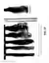 Fig. 28 - Systems, devices and methods for styling hair
