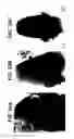 Fig. 33 - Systems, devices and methods for styling hair