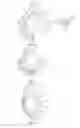 Fig. 06 - Brush Head Partially Covered with Brush Tips or Randomly Directed Bristles and Method of Use