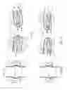 Fig. 07 - Illumination means and accessories for a paintbrush and method