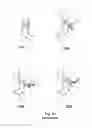 Fig. 19 - Printable bendable sheets, constructions comprising them and methods of making same