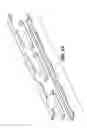 Fig. 04 - Nesting transportable wine barrel rack