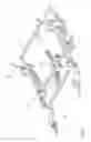 Fig. 03 - Wall hugger recliner