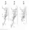 Fig. 05 - Wall hugger recliner