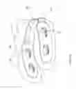 Fig. 18 - Travel pillow