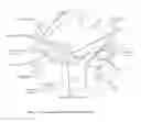Fig. 02 - Programmable Self-Cooker