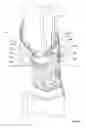 Fig. 28 - SURFACE CLEANING APPARATUS
