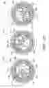Fig. 13 - Variable position diverter for an appliance