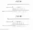 Fig. 07 - Optical scanning observation apparatus and optical scanning observation method