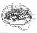 Fig. 01 - Magnetic resonance imaging apparatus and image processing apparatus