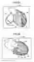 Fig. 20 - Image processing apparatus, image processing method, and storage medium