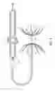 Fig. 02 - Dual multiray electrode catheter