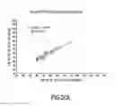 Fig. 31 - Heart rate detection method and device using heart sound acquired from auscultation positions