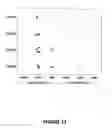 Fig. 12 - Auscultation data acquisition, communication and evaluation system incorporating mobile facilities