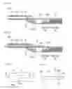 Fig. 04 - Diagnostic imaging catheter