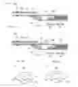 Fig. 07 - Diagnostic imaging catheter