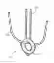 Fig. 01 - SUTURE ANCHOR