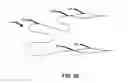 Fig. 28 - Devices, systems, and methods for attaching soft tissue to bone tissue