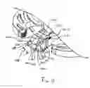 Fig. 10 - Surgical fastening instrument