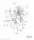 Fig. 37 - DEVICES, SYSTEMS AND METHODS FOR DIAGNOSING AND TREATING SINUSITIS AND OTHER DISORDERS OF THE EARS, NOSE AND/OR THROAT