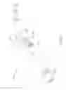 Fig. 07 - Preloaded medical struts
