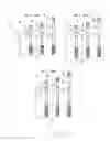 Fig. 03 - Minimal incision removable bone screw