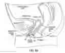 Fig. 08 - Methods and systems for treating urinary stress incontinence