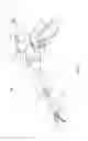 Fig. 02 - Articulating surgical apparatus