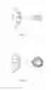 Fig. 04 - Dual node multiray electrode catheter