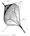 Fig. 25 - Apparatus and method for assessing tissue treatment