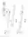Fig. 02 - APPARATUS, SYSTEM AND METHOD FOR PERFORMING AN ELECTROSURGICAL PROCEDURE