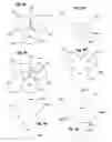 Fig. 09 - Methods and systems for directing movement of a tool in hair transplantation procedures