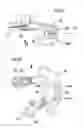 Fig. 13 - Medical system