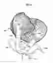 Fig. 16 - Medical system