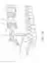 Fig. 15 - Surgical robotic systems and methods thereof
