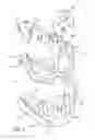 Fig. 07 - Edentulous surgical guide