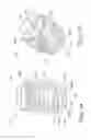 Fig. 06 - Dental implant for bone collection and distribution
