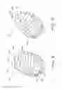 Fig. 07 - Dental implant for bone collection and distribution