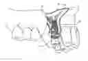 Fig. 01 - Dental implant