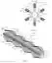 Fig. 03 - Bristled dental floss