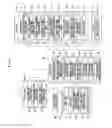 Fig. 02 - Root canal treating device