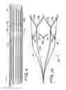 Fig. 09 - Vein filter