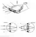 Fig. 01 - Double accommodating intraocular accordion lens
