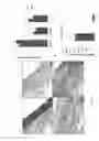 Fig. 04 - Bioengineered Allogeneic Valve